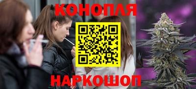 мдпв Кингисепп