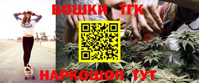 мдпв Кингисепп