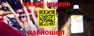 мдпв Кингисепп
