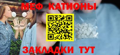 мдпв Кингисепп