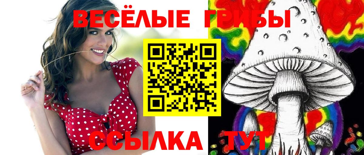 Псилоцибиновые грибы Cubensis Чайковский